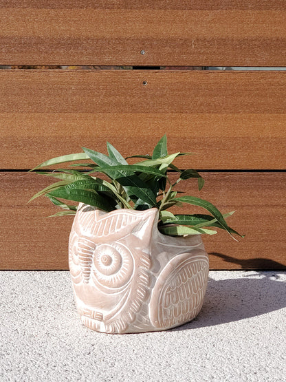Handmade Horned Owl Terracotta Planter